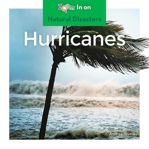 Cover image for Hurricanes