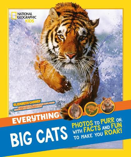 Cover image for Everything: Big Cats