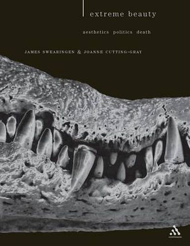 Cover image for Extreme Beauty: Aesthetics, Politics, Death