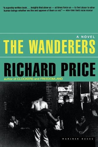 Cover image for The Wanderers