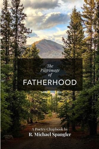 Cover image for The Pilgrimage of Fatherhood