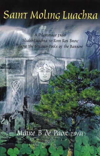 Cover image for St.Moling Luachra: A Pilgrimage from Sliabh Luachra to the Point of Ros Broic Above the Stream Pools of the Barrow