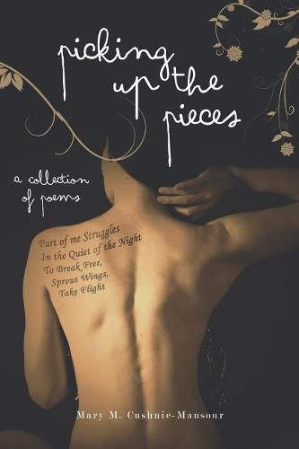 Cover image for Picking Up the Pieces