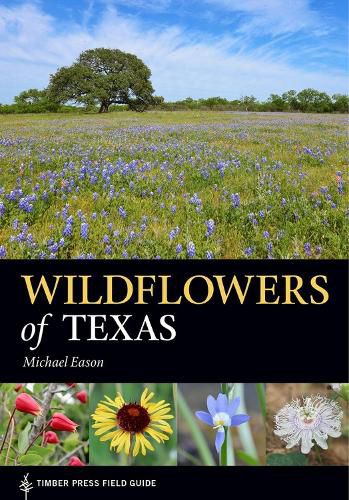 Cover image for Wildflowers of Texas