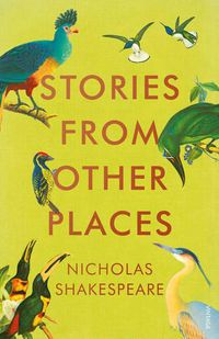 Cover image for Stories from Other Places