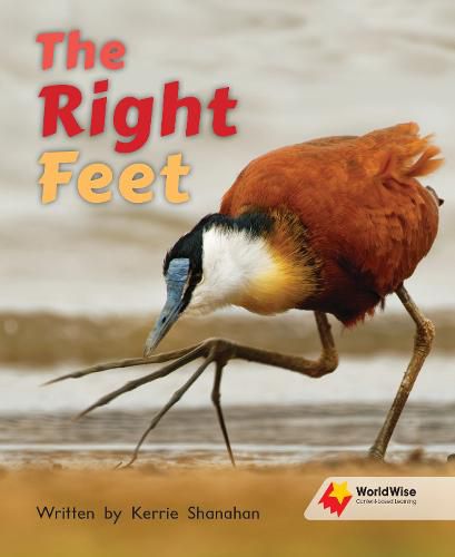 Cover image for The Right Feet