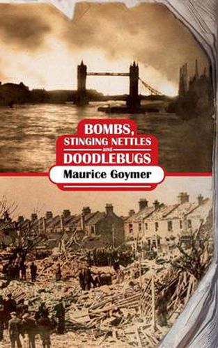 Cover image for Bombs, Stinging Nettles and Doodlebugs