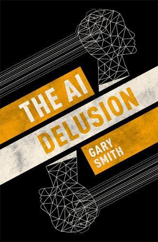 Cover image for The AI Delusion