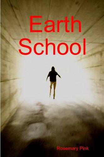 Cover image for Earth School