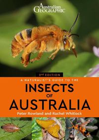 Cover image for A Naturalist's Guide to the Insects of Australia