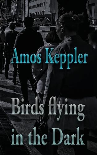 Cover image for Birds Flying in the Dark