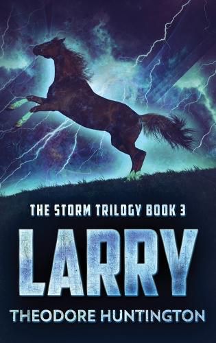 Cover image for Larry