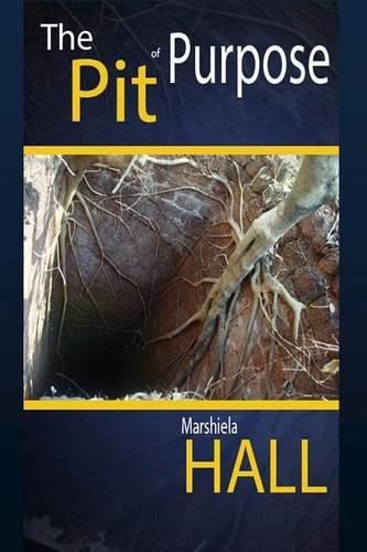 The Pit of Purpose