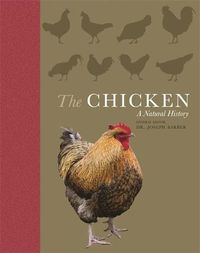 Cover image for The Chicken: A Natural History