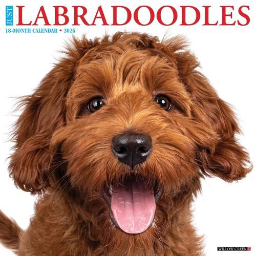 Cover image for Labradoodles 2026 12 X 12 Wall Calendar