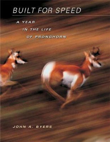 Cover image for Built for Speed: A Year in the Life of Pronghorn