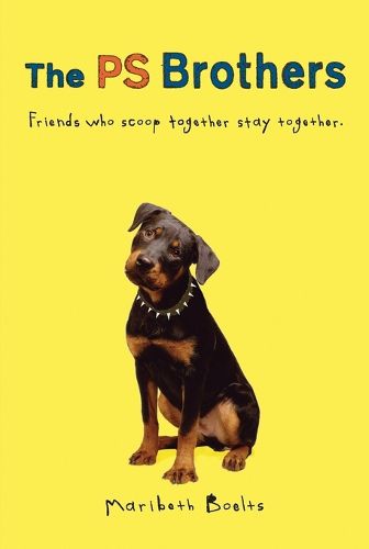 Cover image for The PS Brothers