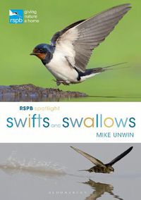 Cover image for RSPB Spotlight Swifts and Swallows