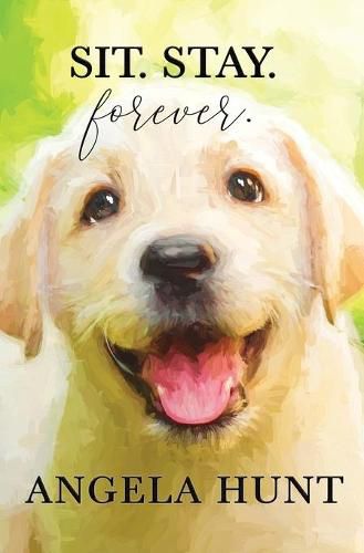 Cover image for Sit. Stay. Forever.
