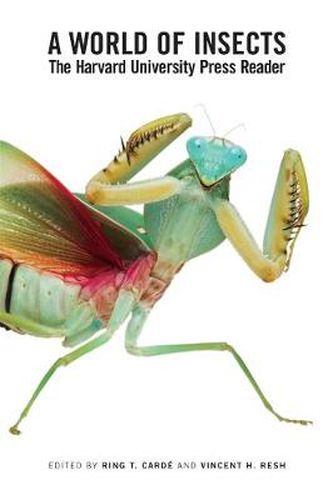 Cover image for A World of Insects: The Harvard University Press Reader