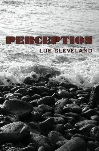 Cover image for Perception