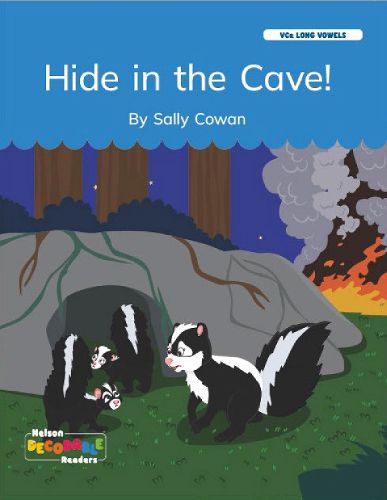 Cover image for Hide in the Cave! (VCe Long Vowels)