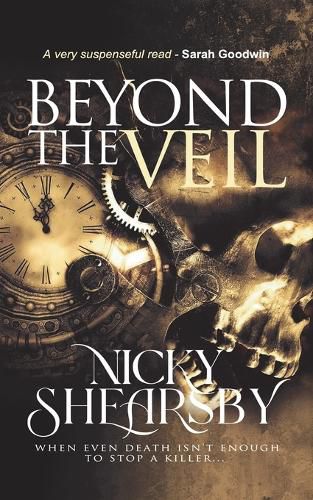 Cover image for Beyond the Veil (The Flanigan Files, #1)