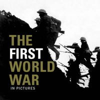 Cover image for First World War, The