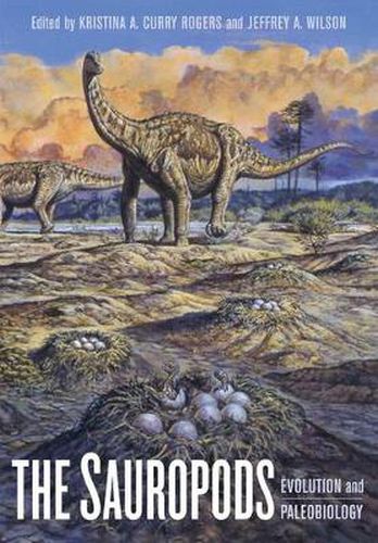 Cover image for The Sauropods: Evolution and Paleobiology