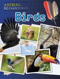 Cover image for Birds