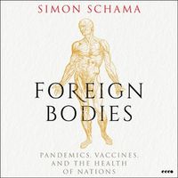 Cover image for Foreign Bodies