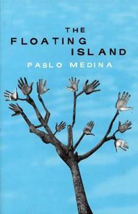 Cover image for The Floating Island