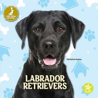 Cover image for Labrador Retrievers