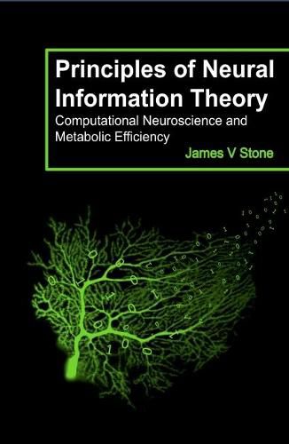 Principles of Neural Information Theory: Computational Neuroscience and Metabolic Efficiency