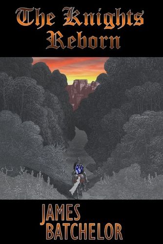 Cover image for The Knights Reborn