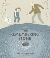 Cover image for The Remembering Stone