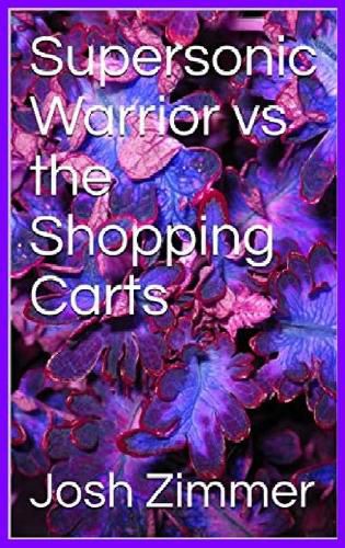 Cover image for Supersonic Warrior vs the Shopping Carts