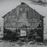Cover image for The Ghosts Have Never Left: Victorian Gold Rush Towns and the Stories They Could Tell