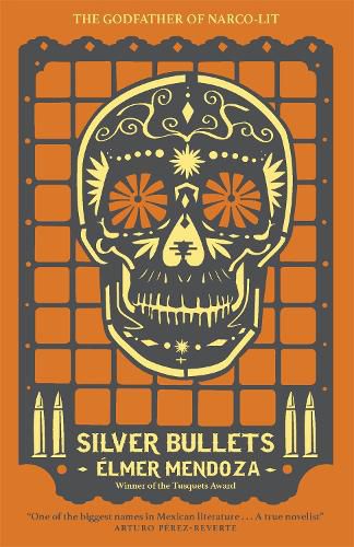 Cover image for Silver Bullets