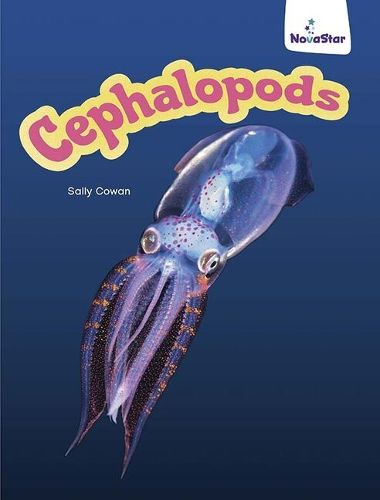 Cephalopods