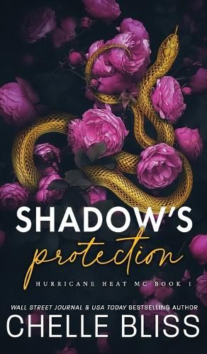 Cover image for Shadow's Protection