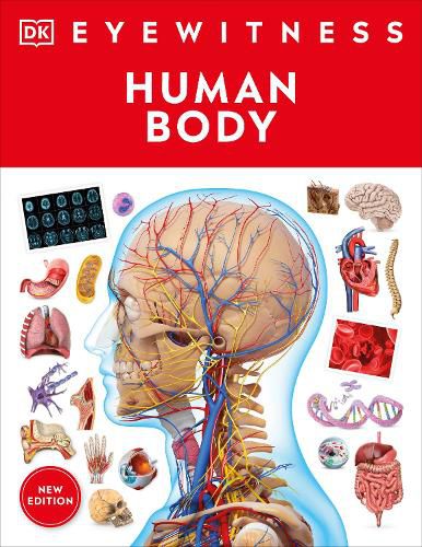 Cover image for Human Body