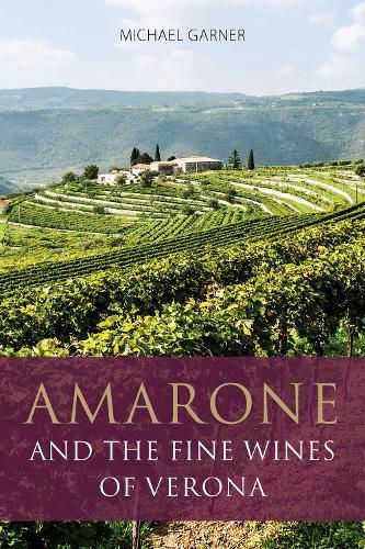 Cover image for Amarone and the Fine Wines of Verona