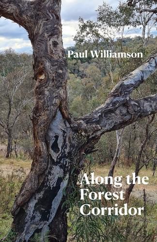 Cover image for Along the Forest Corridor