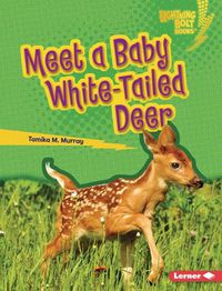 Cover image for Meet a Baby White-Tailed Deer