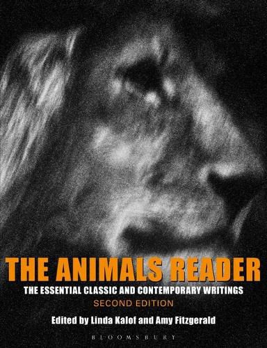 Cover image for The Animals Reader: The Essential Classic and Contemporary Writings
