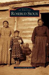 Cover image for Rosebud Sioux