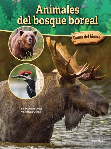 Animales del Bosque Boreal