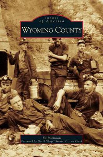 Cover image for Wyoming County