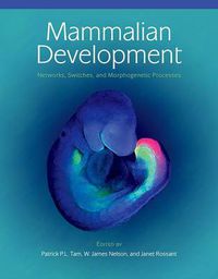 Cover image for Mammalian Development: Networks, Switches, and Morphogenetic Processes